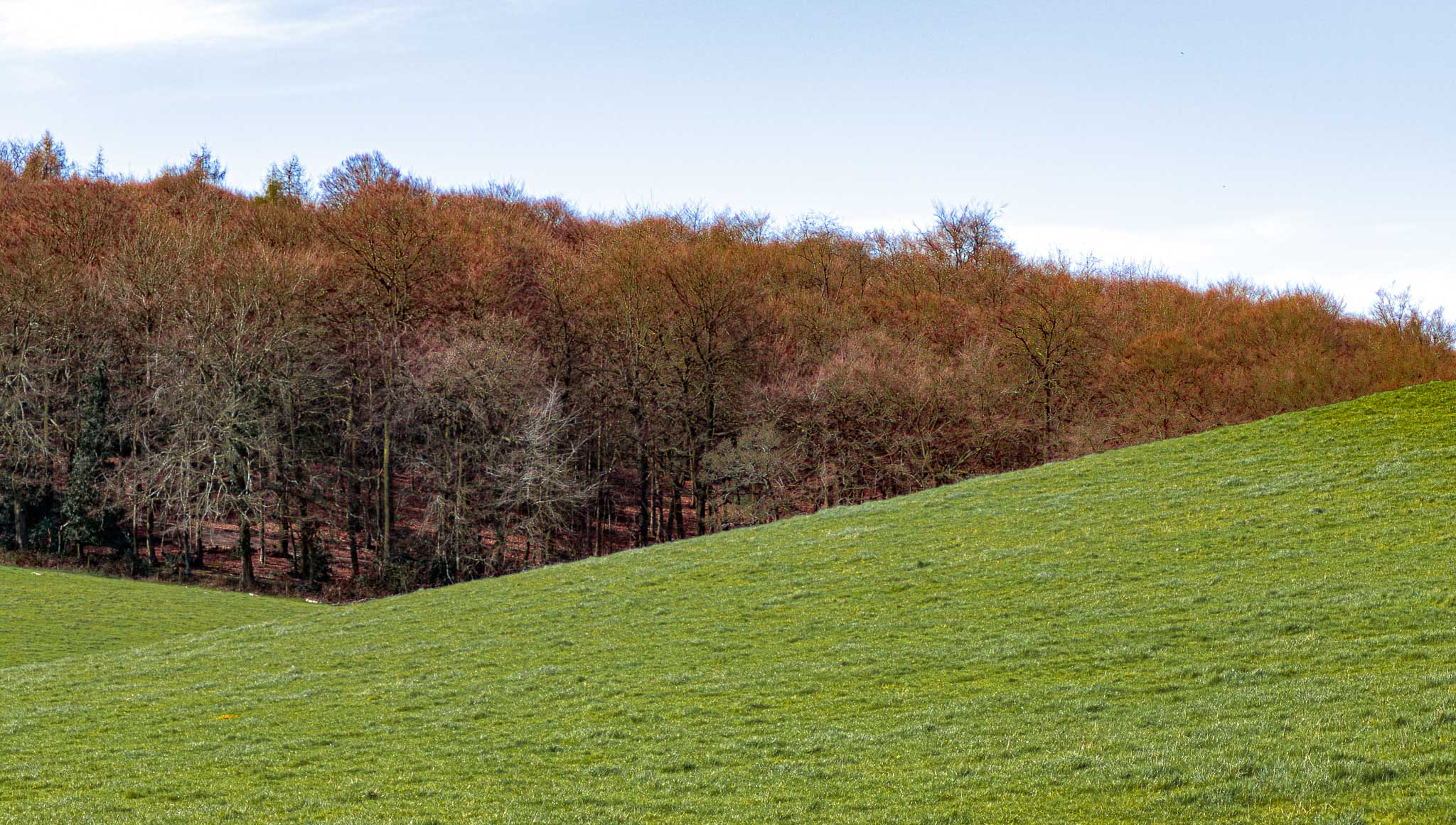 Landscapes